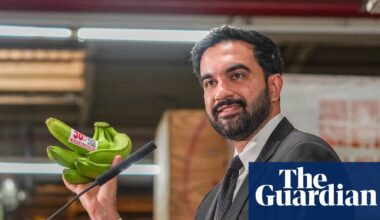 Can Mamdani plan for city-owned stores deliver cheap food for New Yorkers? | New York