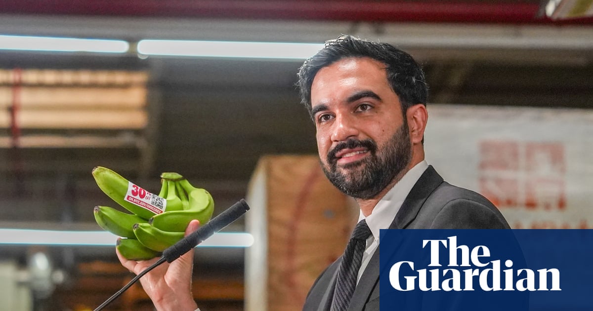 Can Mamdani plan for city-owned stores deliver cheap food for New Yorkers? | New York