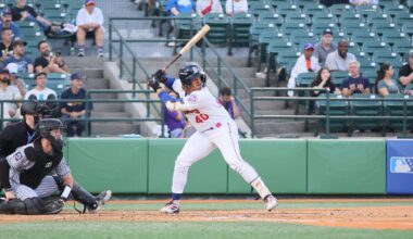The Brooklyn Cyclones Report - The Wave