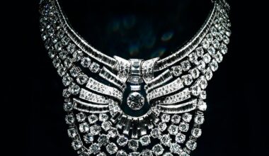 Thieves Smash Museum Case for Diamond Necklace Worth Millions in Vienna