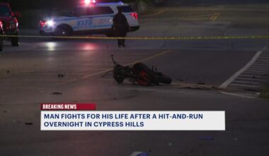 News 12 | Brooklyn | Man In Critical Condition After Hit And Run In Cypress Hills
