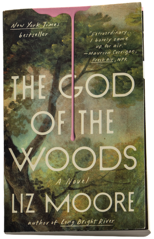Book cover for The God of the Woods