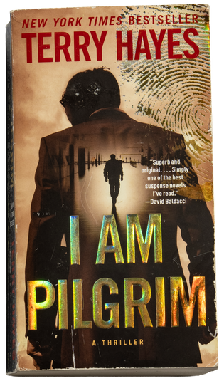 Book cover for I Am Pilgrim