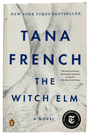 Book cover for The Witch Elm