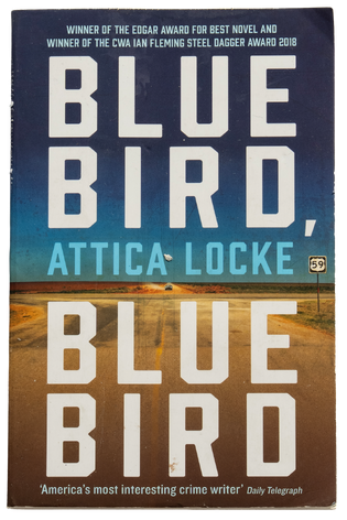 Book cover for Bluebird, Bluebird