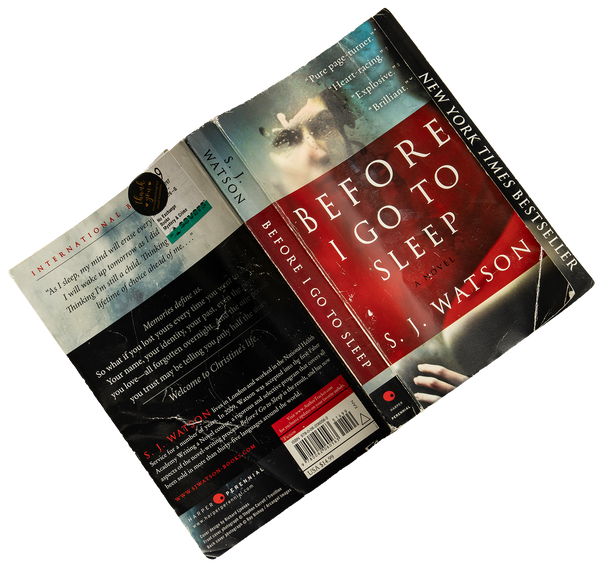 Book cover for Before I Go to Sleep