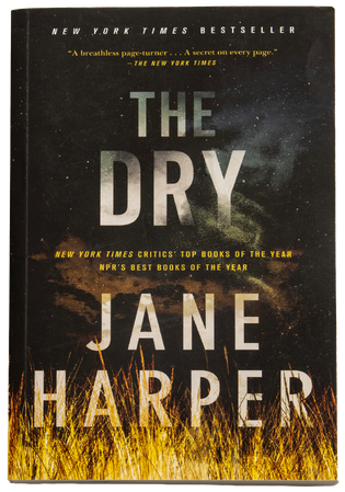 Book cover for The Dry