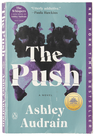 Book cover for The Push