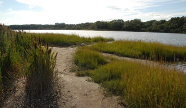 Pelham Bay Park lagoon