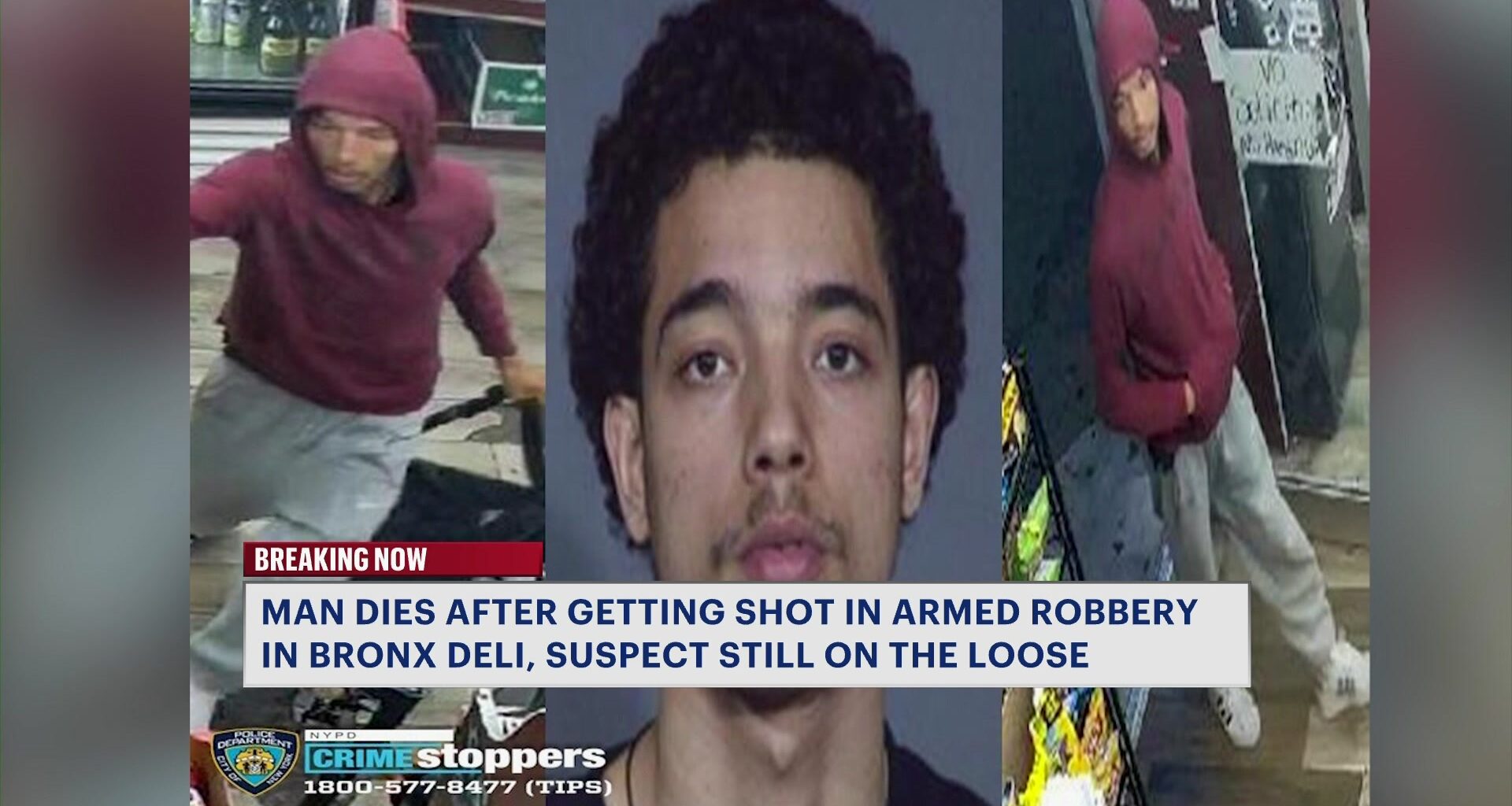 News 12 | Westchester | Man Dead After Being Shot In Chest During Gunpoint Robbery Inside Bronx Deli