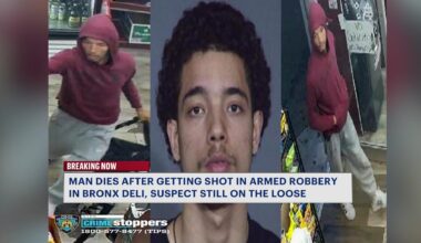 News 12 | Westchester | Man Dead After Being Shot In Chest During Gunpoint Robbery Inside Bronx Deli