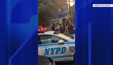 News 12 | Brooklyn | Officer Assaulted While Dispersing Rowdy Crowd After Jamaican Day Parade