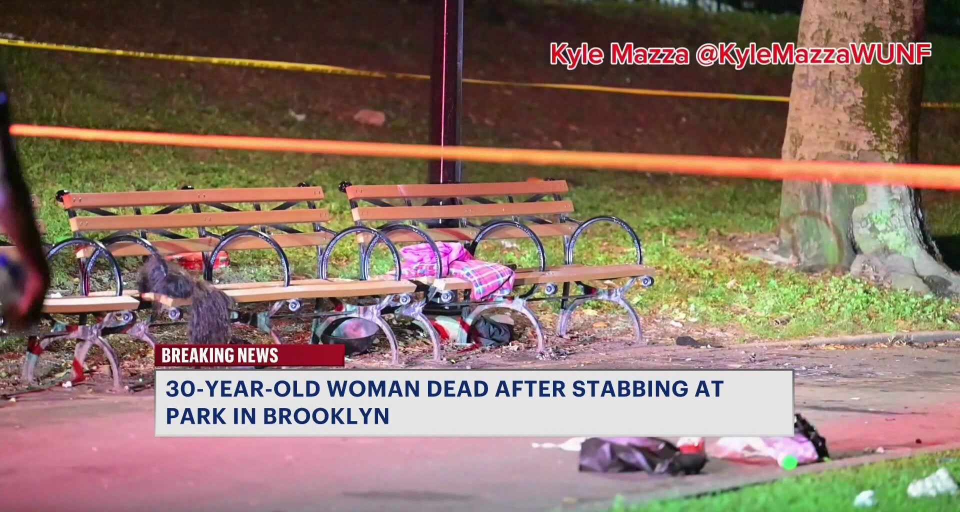 News 12 | Brooklyn | 30 Year Old Woman Fatally Stabbed Inside Lincoln Terrace Park