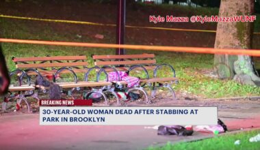 News 12 | Brooklyn | 30 Year Old Woman Fatally Stabbed Inside Lincoln Terrace Park
