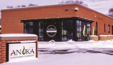 Brooklyn Park considering municipal cannabis dispensary | Local News