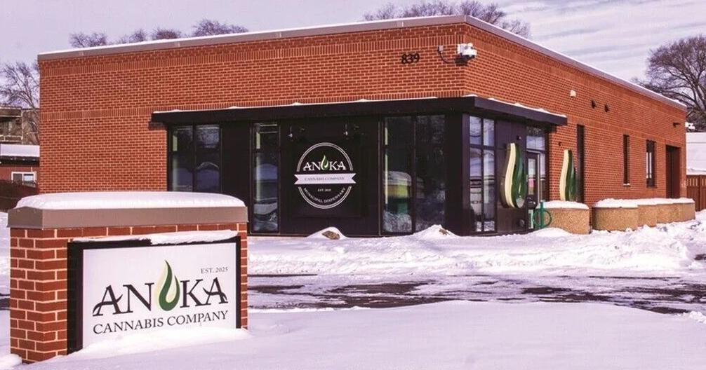 Brooklyn Park considering municipal cannabis dispensary | Local News