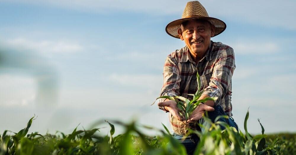 New York State Employers Rely on Both Farm and Non-Farm Seasonal Workers | News