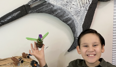 Queen Creek boy becoming a conservation champ | News