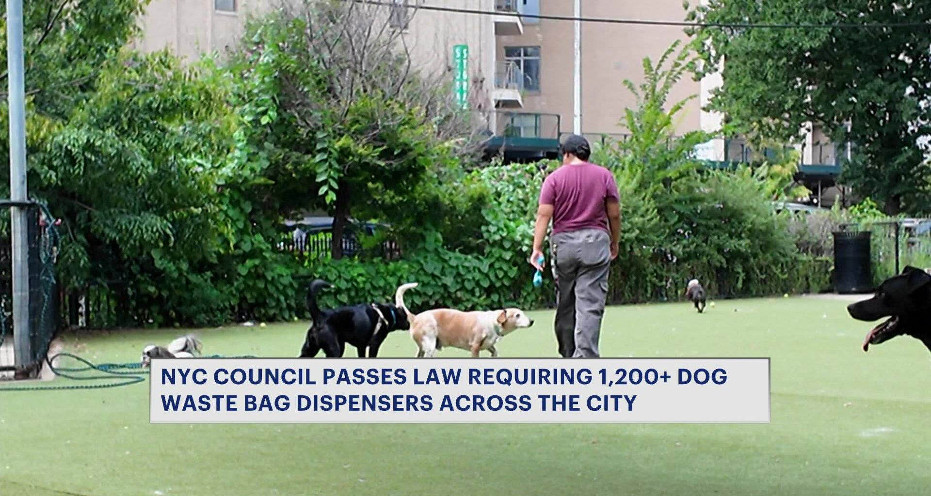 News 12 | Bronx | Nyc Council Passes Package Of Bills To Encourage Dog Poop Cleanup