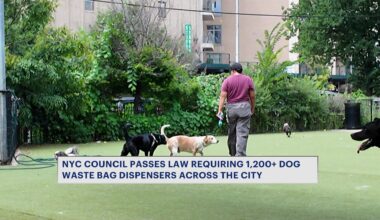 News 12 | Bronx | Nyc Council Passes Package Of Bills To Encourage Dog Poop Cleanup