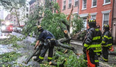 Large tree topples onto Manhattan road prompting FDNY response