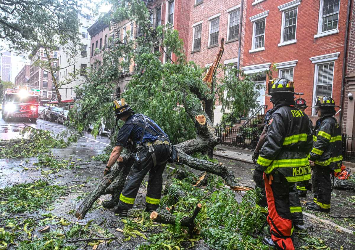 Large tree topples onto Manhattan road prompting FDNY response
