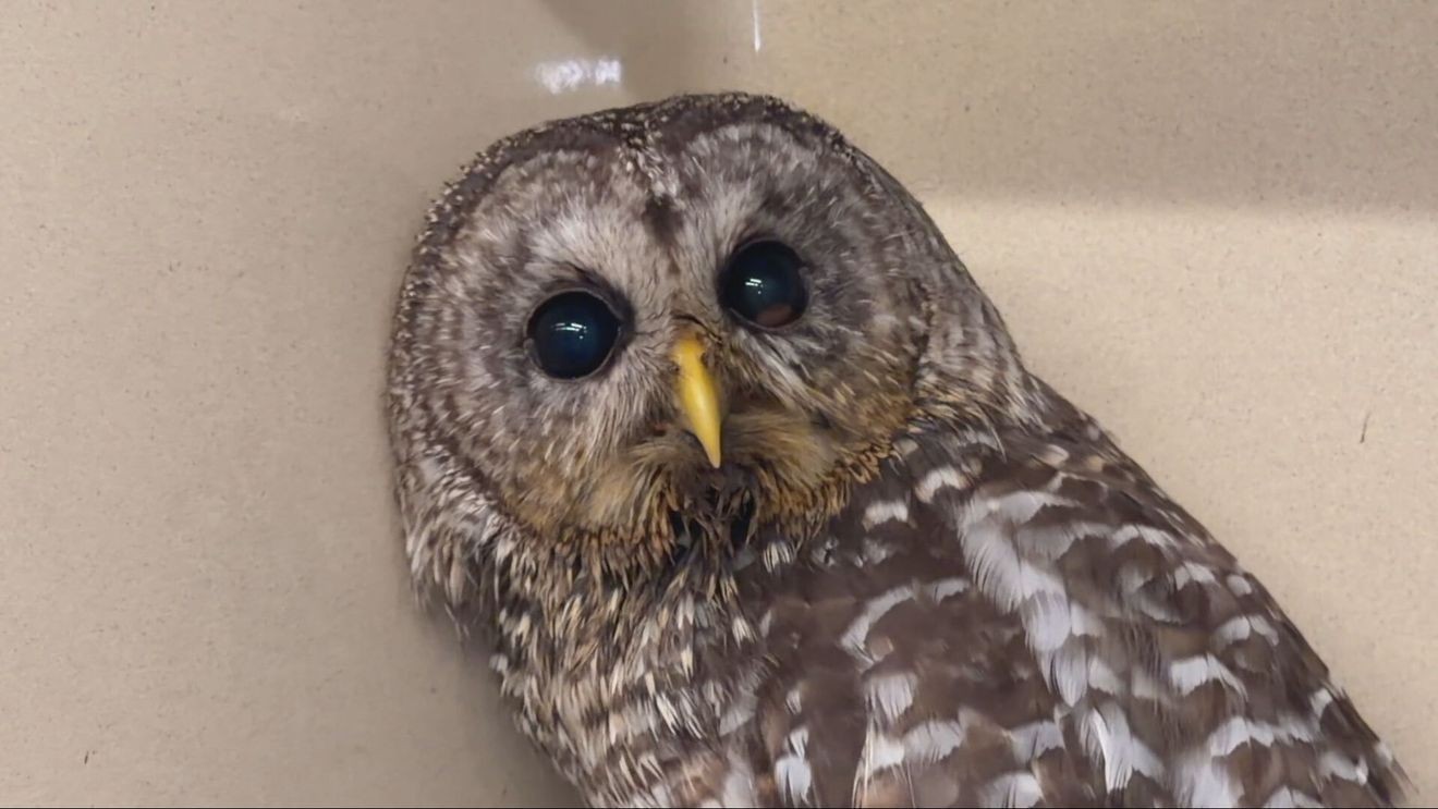 station icon