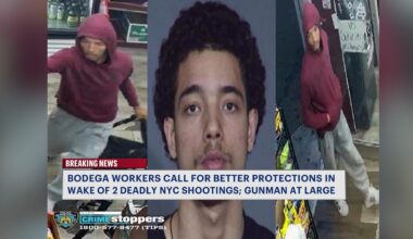 News 12 | Bronx | Two Men Identified In Separate Deadly Shootings As Police Continue Search For Suspect