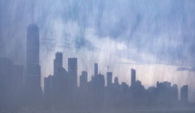 New York’s Soggy, Seemingly Endless Summer