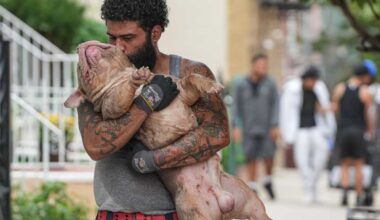 Bronx explosion: Family reunites with beloved dogs feared lost in deadly five-alarm apartment building fire