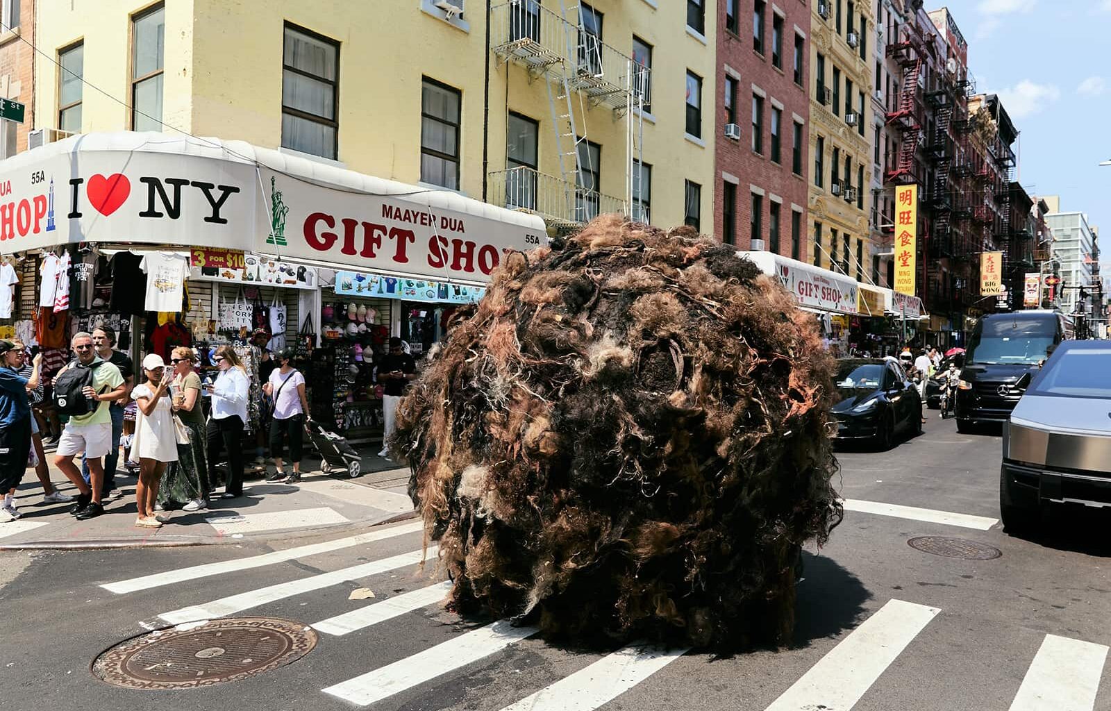 Tumblehair Takes Manhattan: K18 Goes Viral