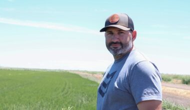 Nonprofit program aims to bring more rice to delta – Daily Democrat