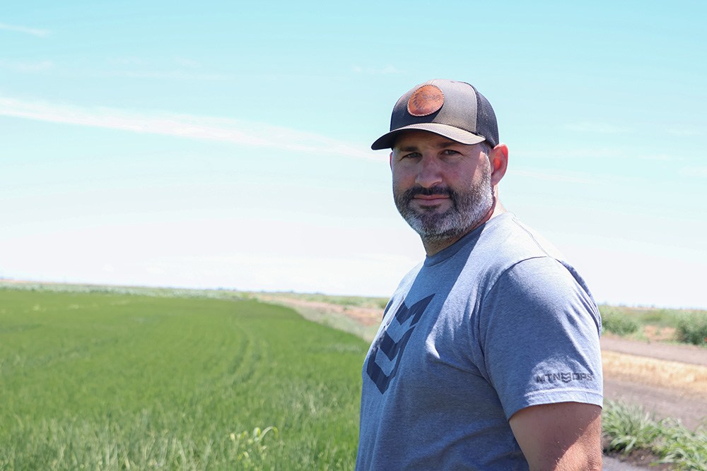 Nonprofit program aims to bring more rice to delta – Daily Democrat