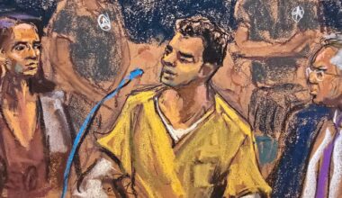 Luigi Mangione pleads guilty to federal stalking charges in CEO killing