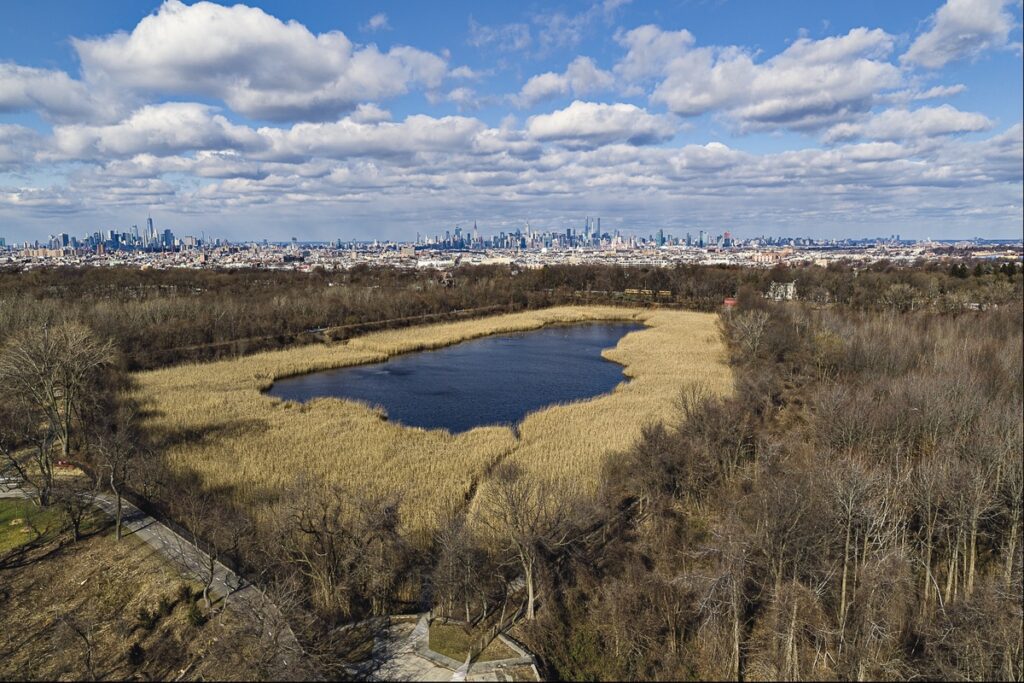 After being fully drained in 1989, this 50-acre hidden reservoir between Brooklyn and Queens is becoming NYC’s favorite ecological comeback story