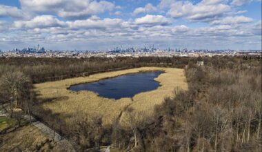 After being fully drained in 1989, this 50-acre hidden reservoir between Brooklyn and Queens is becoming NYC’s favorite ecological comeback story