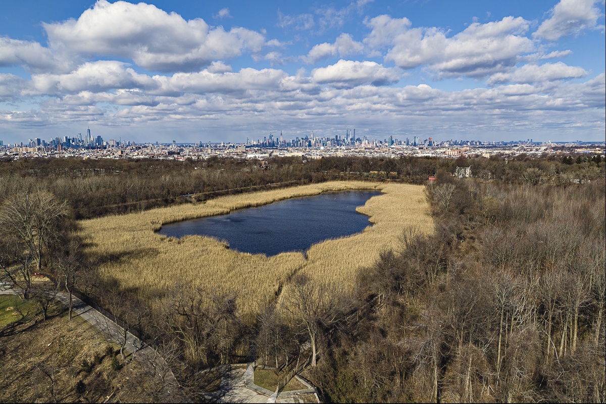 After being fully drained in 1989, this 50-acre hidden reservoir between Brooklyn and Queens is becoming NYC’s favorite ecological comeback story