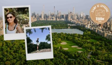 On a ‘Secrets of Central Park’ Tour, I Saw a Different Side of Manhattan’s Beloved Backyard
