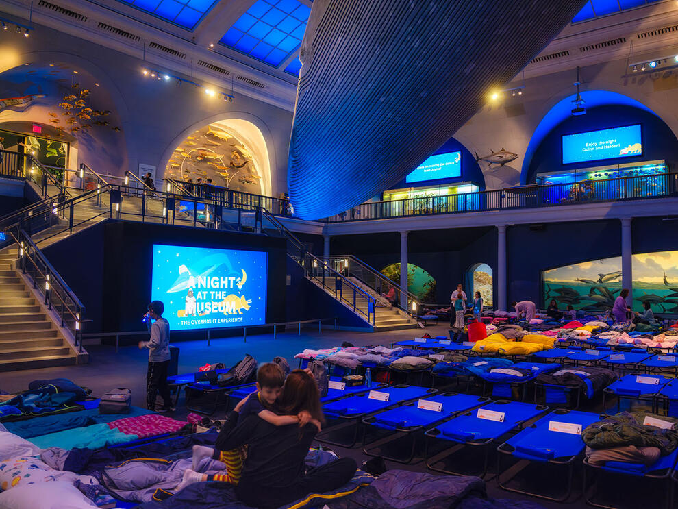 AMNH Sleepovers