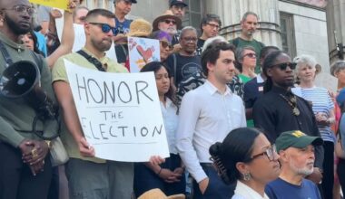 Democratic activists