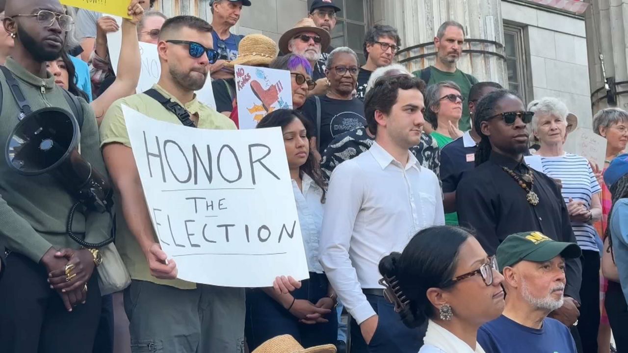 Democratic activists