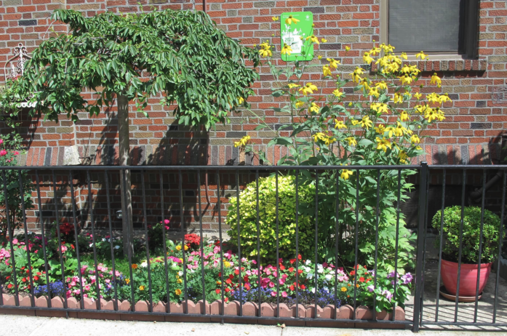 Bay Ridge Blooms at Ridge Boulevard between 71st Street and Ovington Avenue won second place award in the 2026 Greenest Block in Brooklyn contest. Photo: Brooklyn Botanic Garden