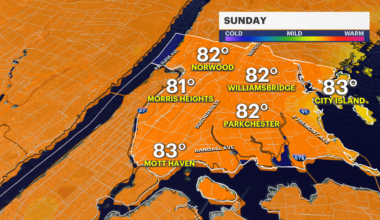 News 12 | Bronx | Your Daily Bronx Weather Forecast
