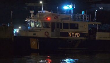 Maritime expert on deadly Liberty Island boat incident