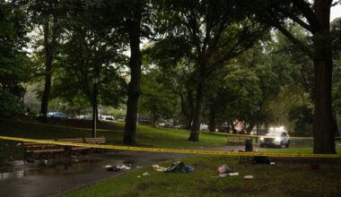 Woman stabbed to death in Brooklyn park, suspect at large