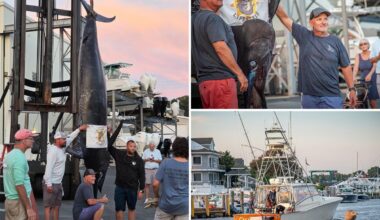 Massachusetts fishermen reel in 1,260-pound blue marlin, believed to be largest fish caught off East Coast