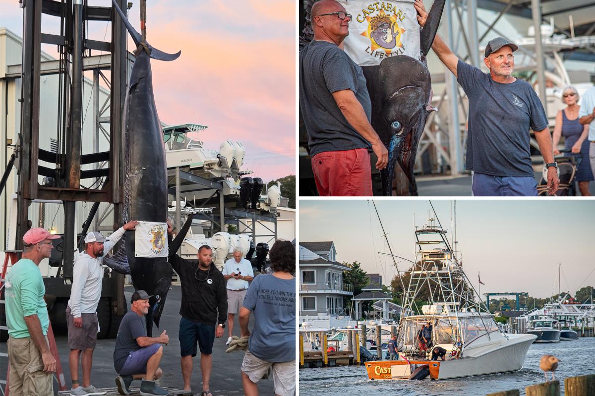 Massachusetts fishermen reel in 1,260-pound blue marlin, believed to be largest fish caught off East Coast