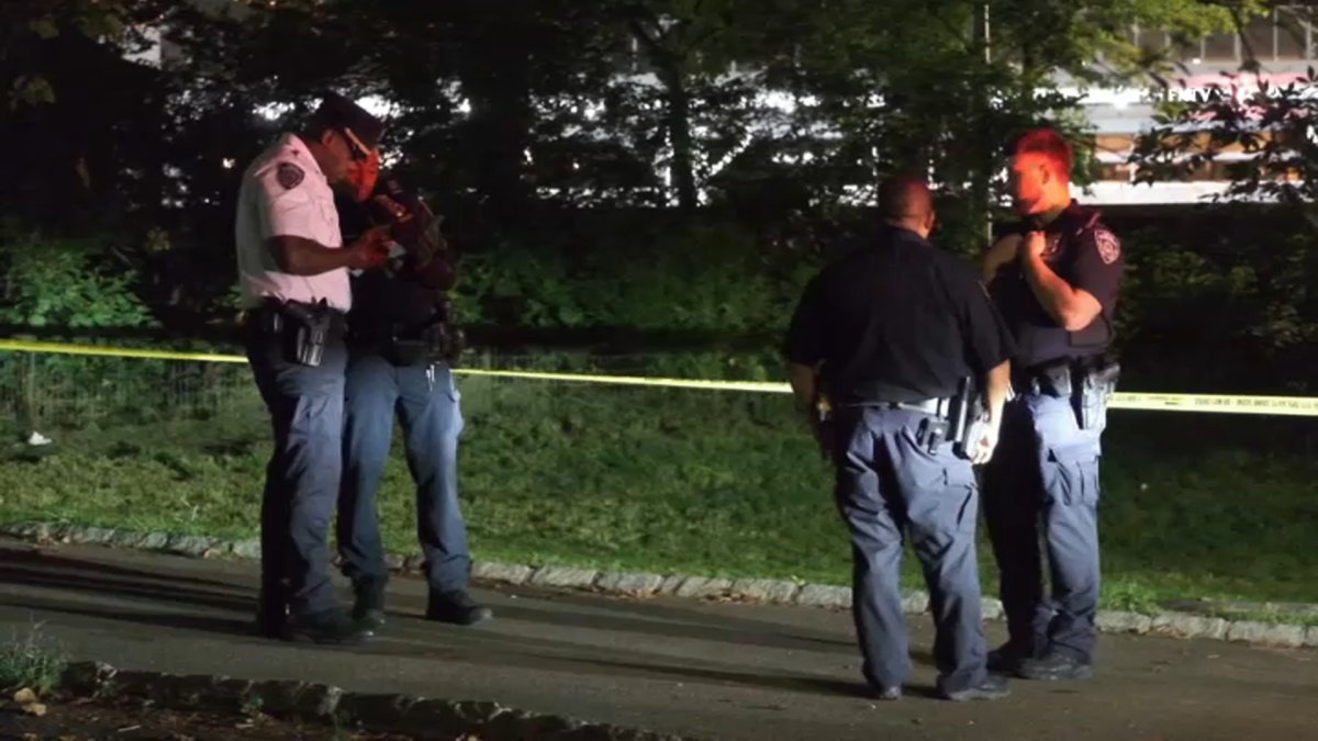 Woman sexually assaulted in Central Park, say police – NBC New York