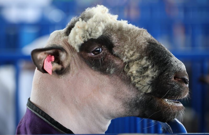 Opening day of the New York State Fair