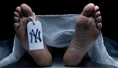 Bleeding Yankee Blue: THE BRONX IS DEAD